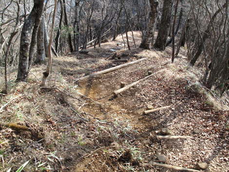 20171207hike (286)